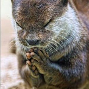 Meet your Posher, Ana cecy